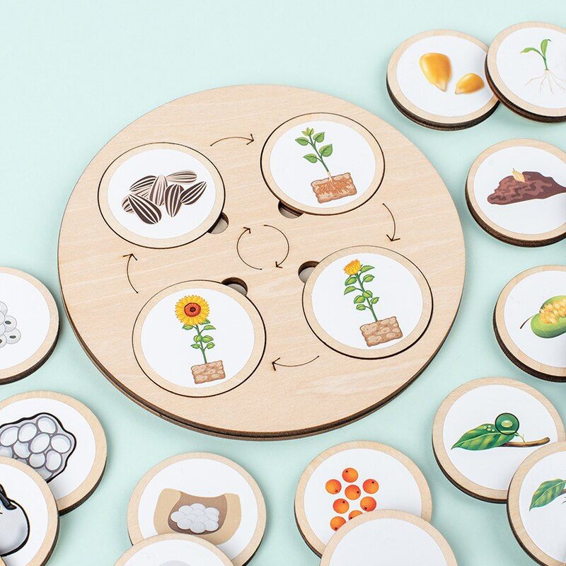 Woods™ - Discover the Life Cycle! - Wooden Puzzle