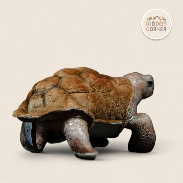 Galapagos Tortoise Soft Stuffed Plush Toy