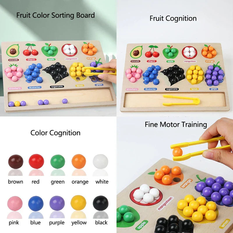Toddler Clips™ - Fruit & Shape Match - Sorting Game
