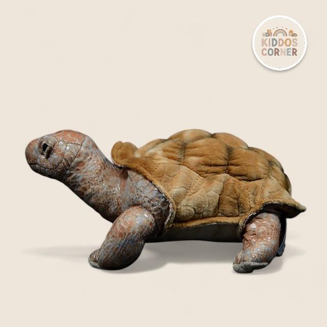 Galapagos Tortoise Soft Stuffed Plush Toy