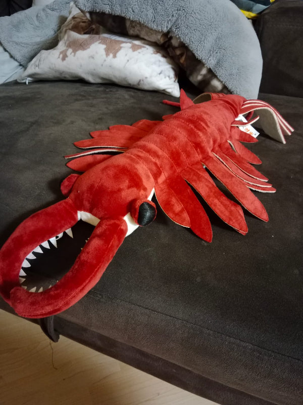 From our hands to their hearts