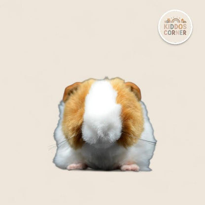 Guinea Pig Soft Stuffed Plush Toy