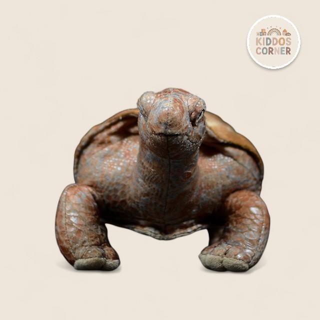Galapagos Tortoise Soft Stuffed Plush Toy