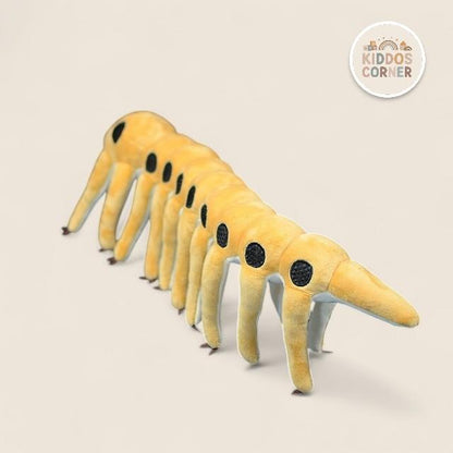Microdictyon Onychophora Soft Stuffed Plush Toy