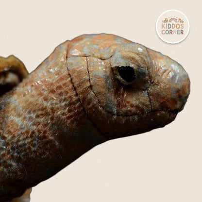 Galapagos Tortoise Soft Stuffed Plush Toy