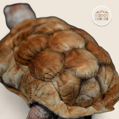 Galapagos Tortoise Soft Stuffed Plush Toy