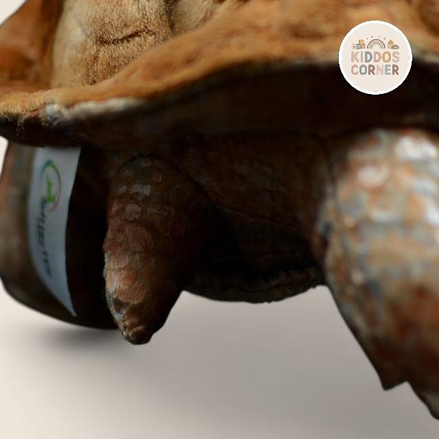 Galapagos Tortoise Soft Stuffed Plush Toy