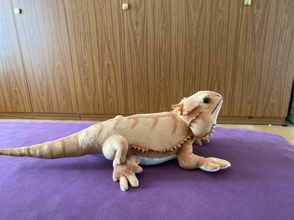 From our hands to their hearts